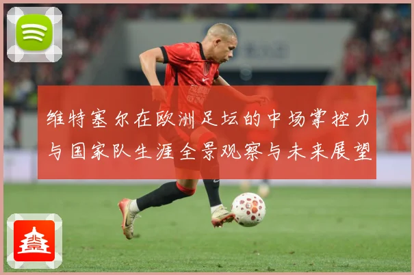 维特塞尔在欧洲足坛的中场掌控力与国家队生涯全景观察与未来展望