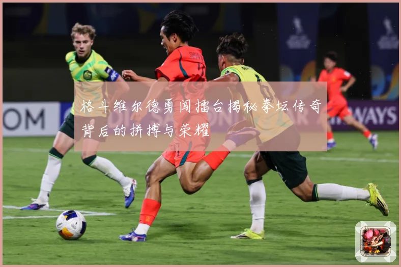 格斗维尔德勇闯擂台揭秘拳坛传奇背后的拼搏与荣耀