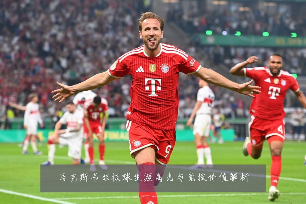马克斯韦尔板球生涯高光与竞技价值解析