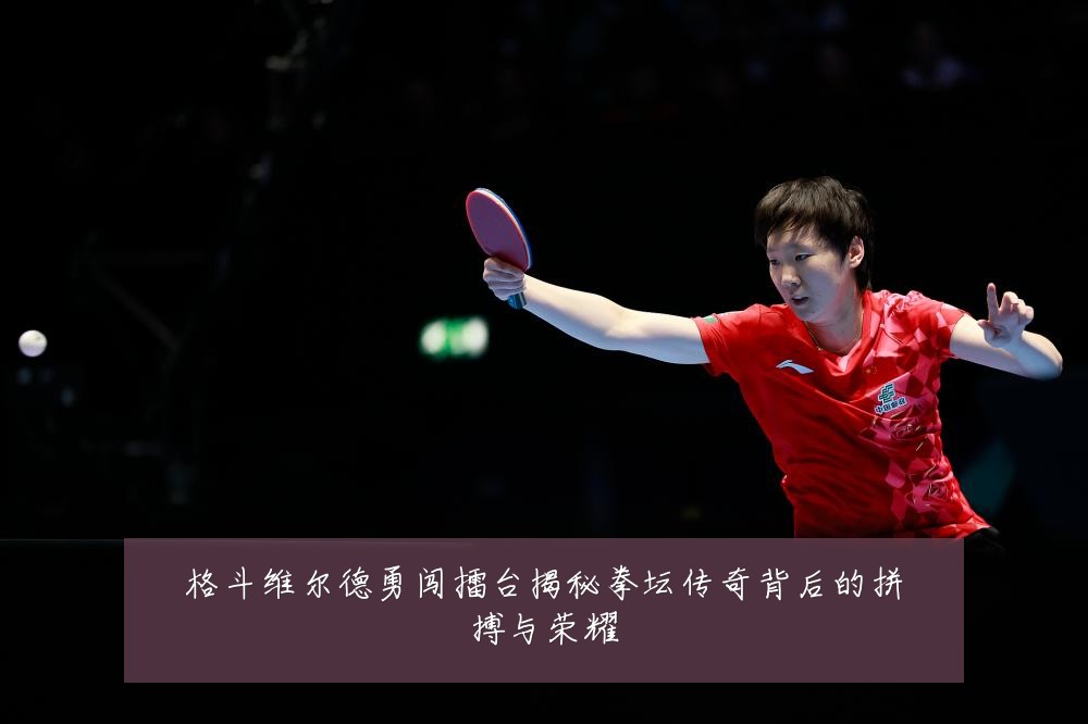 格斗维尔德勇闯擂台揭秘拳坛传奇背后的拼搏与荣耀