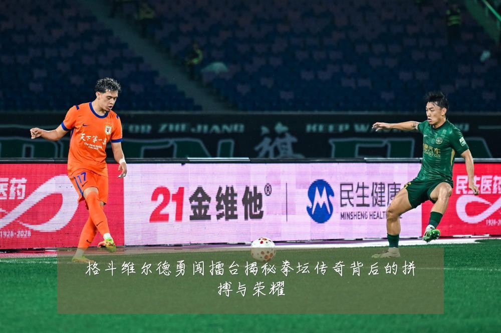 格斗维尔德勇闯擂台揭秘拳坛传奇背后的拼搏与荣耀